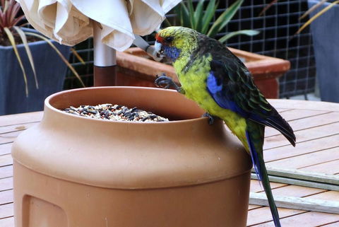 THE LOFT @ Bay Of Fires Seascape - Accommodation Bookings 22