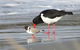 Captain Cook Holiday Park - thumb 17