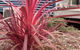 Captain Cook Holiday Park - thumb 15