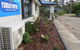 Captain Cook Holiday Park - thumb 30