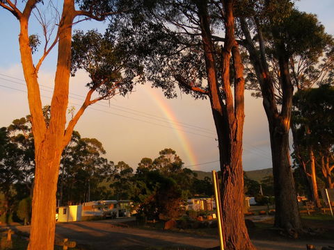 Captain Cook Holiday Park - Accommodation Bookings 12