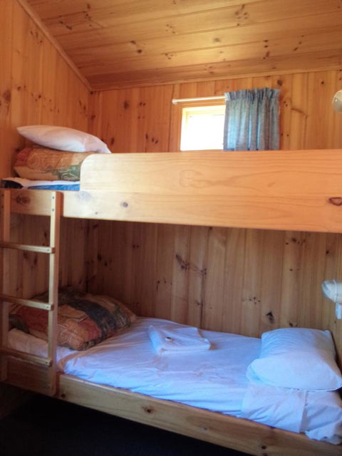 Bicheno East Coast Holiday Park - Accommodation Bookings 35