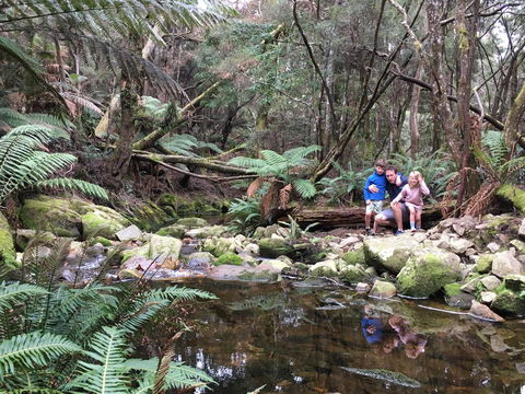 Derby Forest Cabins - Accommodation Bookings 17