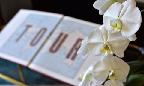 Lotus Gogh Apartment - Accommodation Bookings 6