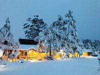 Book Cradle Mountain Accommodation Vacations Accommodation Bookings Accommodation Bookings