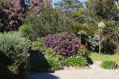 Hazards Beach House - Accommodation Bookings 1