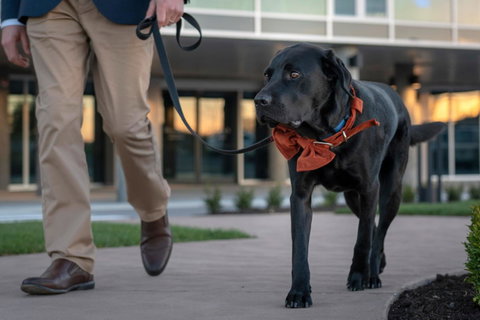 Peppers Silo - Accommodation Bookings 44