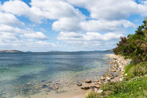 Litora Accommodation - Accommodation Bookings 27