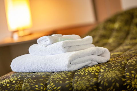 Mornington Inn - Accommodation Bookings 6
