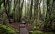 Peppers Cradle Mountain Lodge - thumb 25