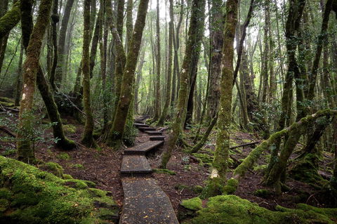 Peppers Cradle Mountain Lodge - Accommodation Bookings 25