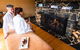 Peppers Cradle Mountain Lodge - thumb 5