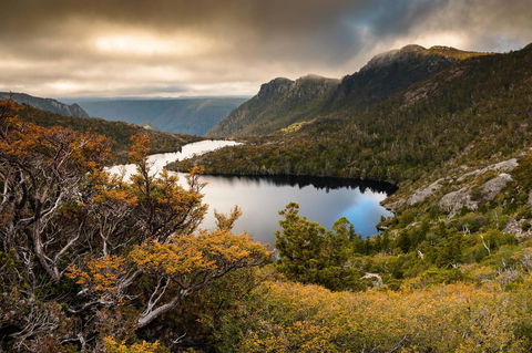 Peppers Cradle Mountain Lodge - Accommodation Bookings 38