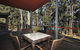 NRMA Port Arthur Holiday Park - thumb 17