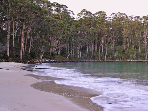 NRMA Port Arthur Holiday Park - Accommodation Bookings 41