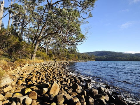 NRMA Port Arthur Holiday Park - Accommodation Bookings 0