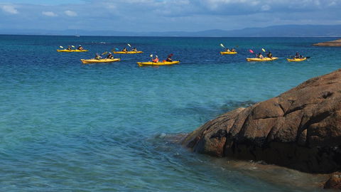 Cove Cottage - Accommodation Bookings 8