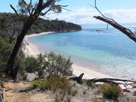 Cove Cottage - Accommodation Bookings 12