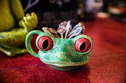 The Pickled Frog - Accommodation Bookings 13