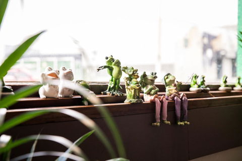 The Pickled Frog - Accommodation Bookings 12
