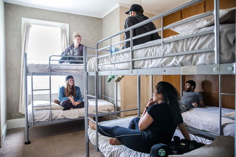 The Pickled Frog - Accommodation Bookings 17
