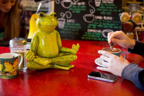The Pickled Frog - Accommodation Bookings 30