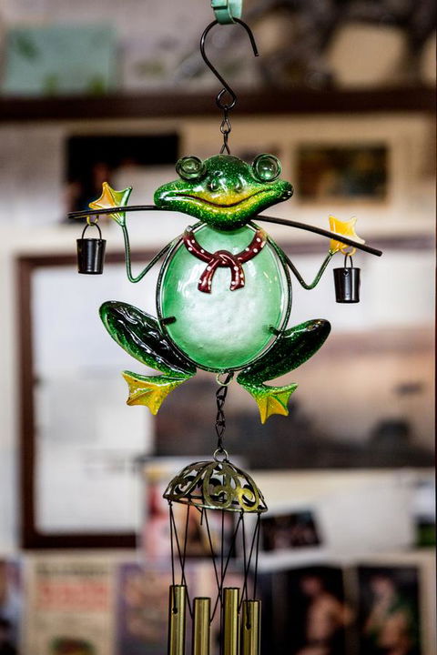 The Pickled Frog - Accommodation Bookings 35