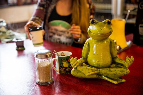 The Pickled Frog - Accommodation Bookings 32