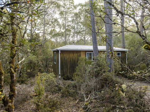 Discovery Parks - Cradle Mountain - Accommodation Bookings 18
