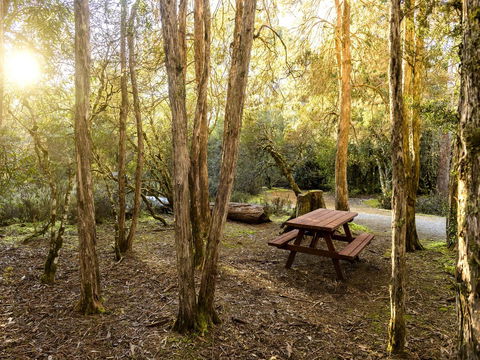 Discovery Parks - Cradle Mountain - Accommodation Bookings 19