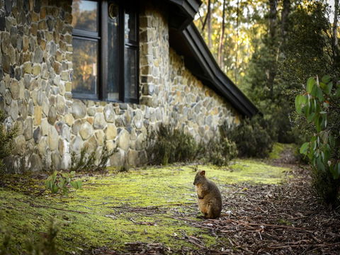 Discovery Parks - Cradle Mountain - Accommodation Bookings 22