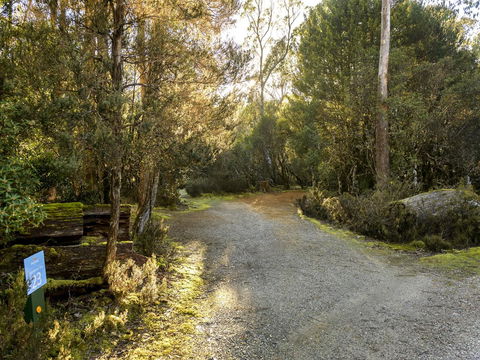 Discovery Parks - Cradle Mountain - Accommodation Bookings 1