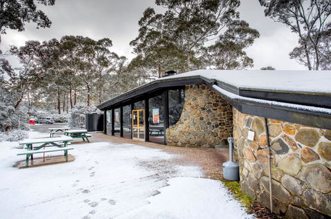 Discovery Parks - Cradle Mountain - Accommodation Bookings 0