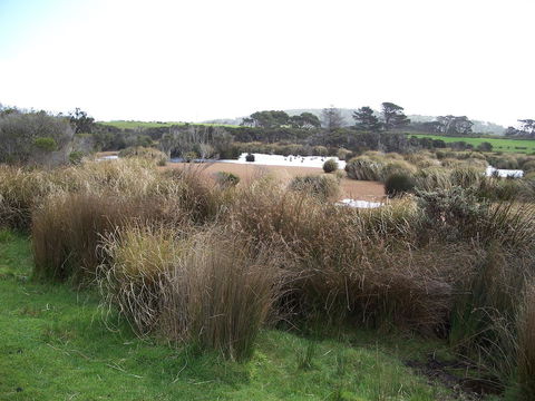 Cloudy Bay Beach House - Accommodation Bookings 24