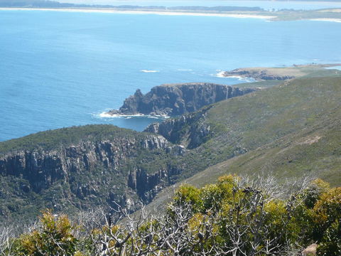 Cloudy Bay Beach House - Accommodation Bookings 26