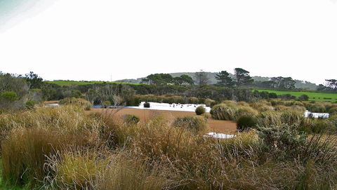 Cloudy Bay Beach House - Accommodation Bookings 19