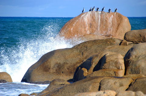 Cloudy Bay Beach House - Accommodation Bookings 29