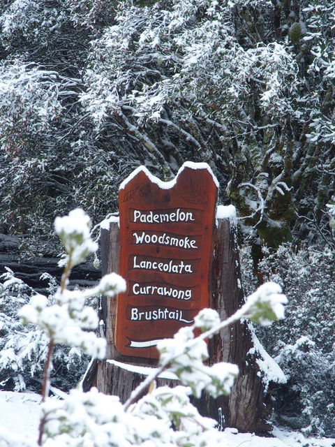 Cradle Highlander - Accommodation Bookings 7