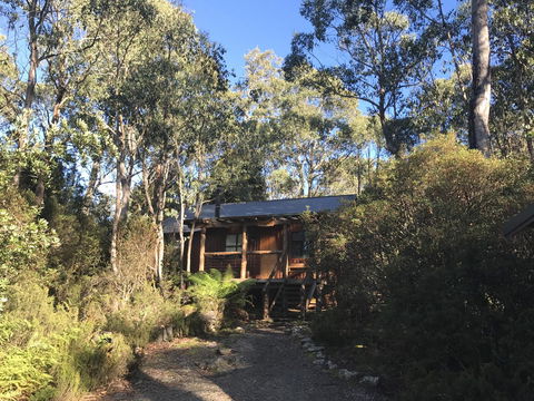 Cradle Highlander - Accommodation Bookings 14