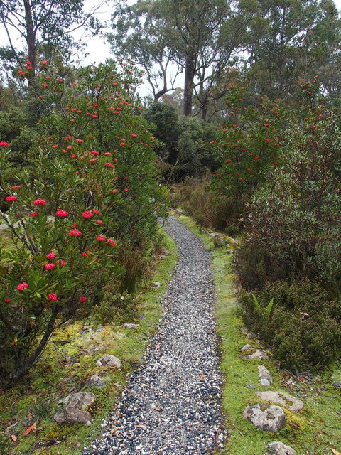 Cradle Highlander - Accommodation Bookings 6