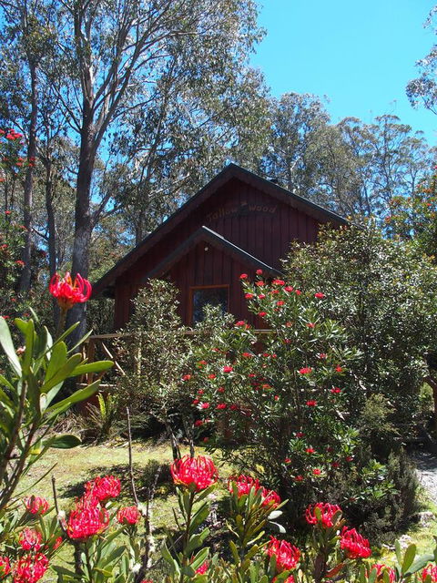 Cradle Highlander - Accommodation Bookings 0