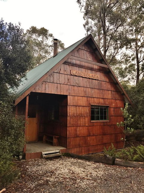 Cradle Highlander - Accommodation Bookings 3