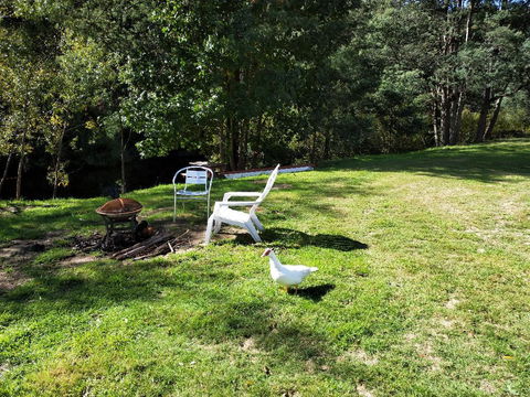 Wanderlust Cottage - Accommodation Bookings 18