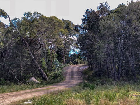 BAY OF FIRES ECO HUT Off Grid Experience At Binalong Bay - Accommodation Bookings 12