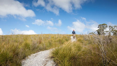 Arthur Riverfront And Sea Lodge Downstream - Accommodation Bookings 35