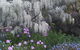Beezneez B&B - thumb 15