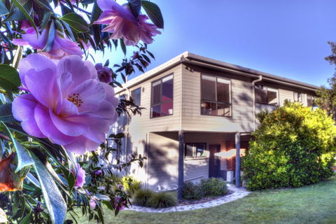 Cove Beach Apartment 2 - Accommodation Bookings 9