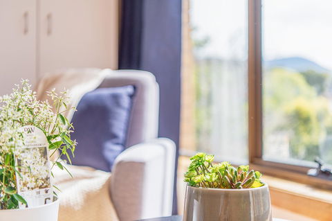 Vintage Cuddle Guest House - Accommodation Bookings 2