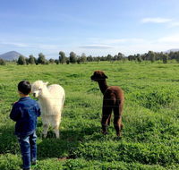 Taras Richmond Farmstay