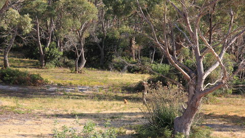BAY OF FIRES SEACHANGE Ocean Frontage - Accommodation Bookings 12